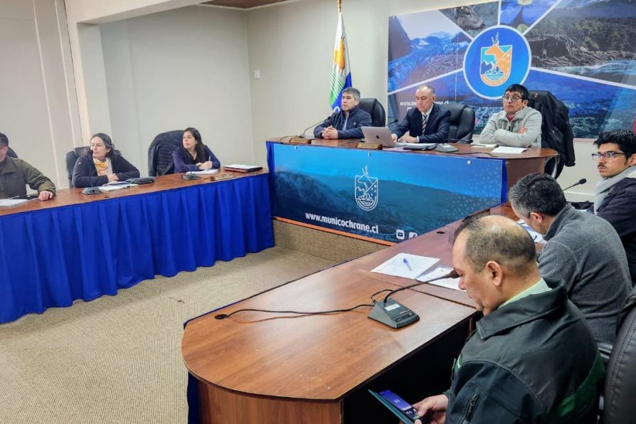 Delegada Presidencial Participa En Consejo De Seguridad De Cochrane