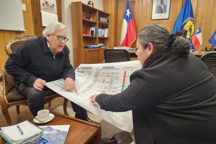 Delegada Presidencial de Capitán Prat revisa avances en caminos secundarios y pasos fronterizos