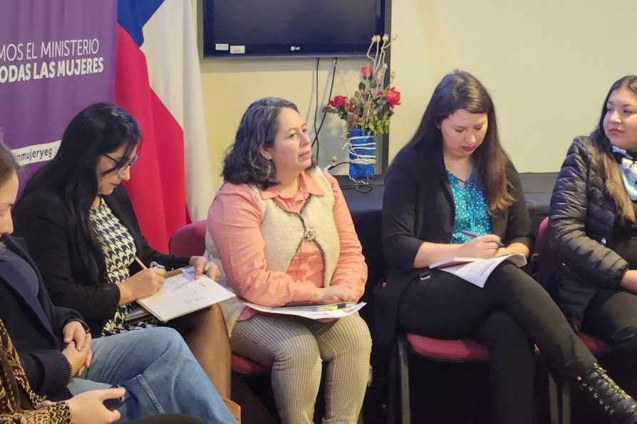 Primer Encuentro Provincial por la Equidad de Género en Capitán Prat