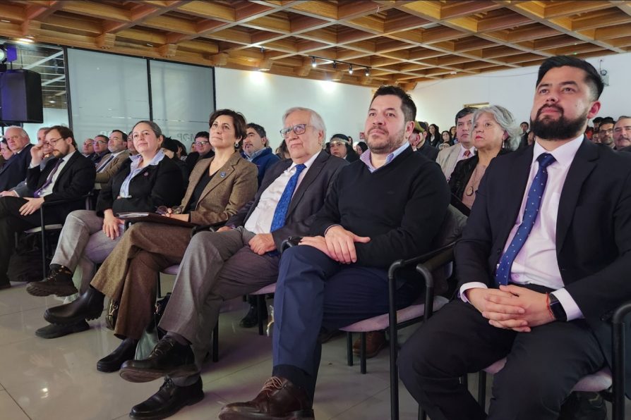 Delegaciones Presidenciales Provinciales participan en la Cuenta Pública Regional 2025