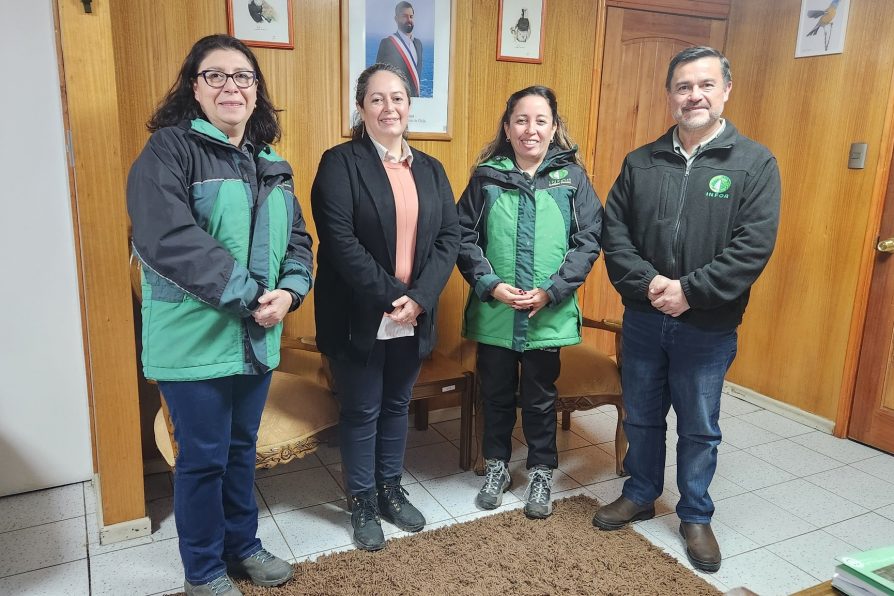Encuentro entre la Delegación Presidencial Provincial y autoridades del Instituto Forestal (INFOR)